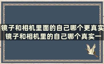 镜子和相机里面的自己哪个更真实 镜子和相机里的自己哪个真实一点